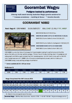 Goorambat_N0882.pdf