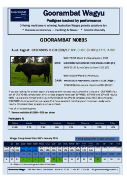 Goorambat_N0895.pdf